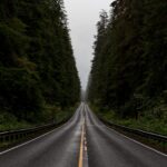 Road Trip Image - Explore Travel Dreams