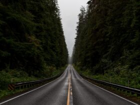 Road Trip Image - Explore Travel Dreams